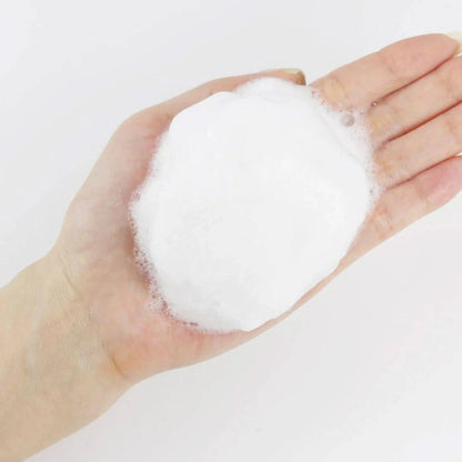 ROUND LAB 1025 Dokdo Bubble Foam (150ML)