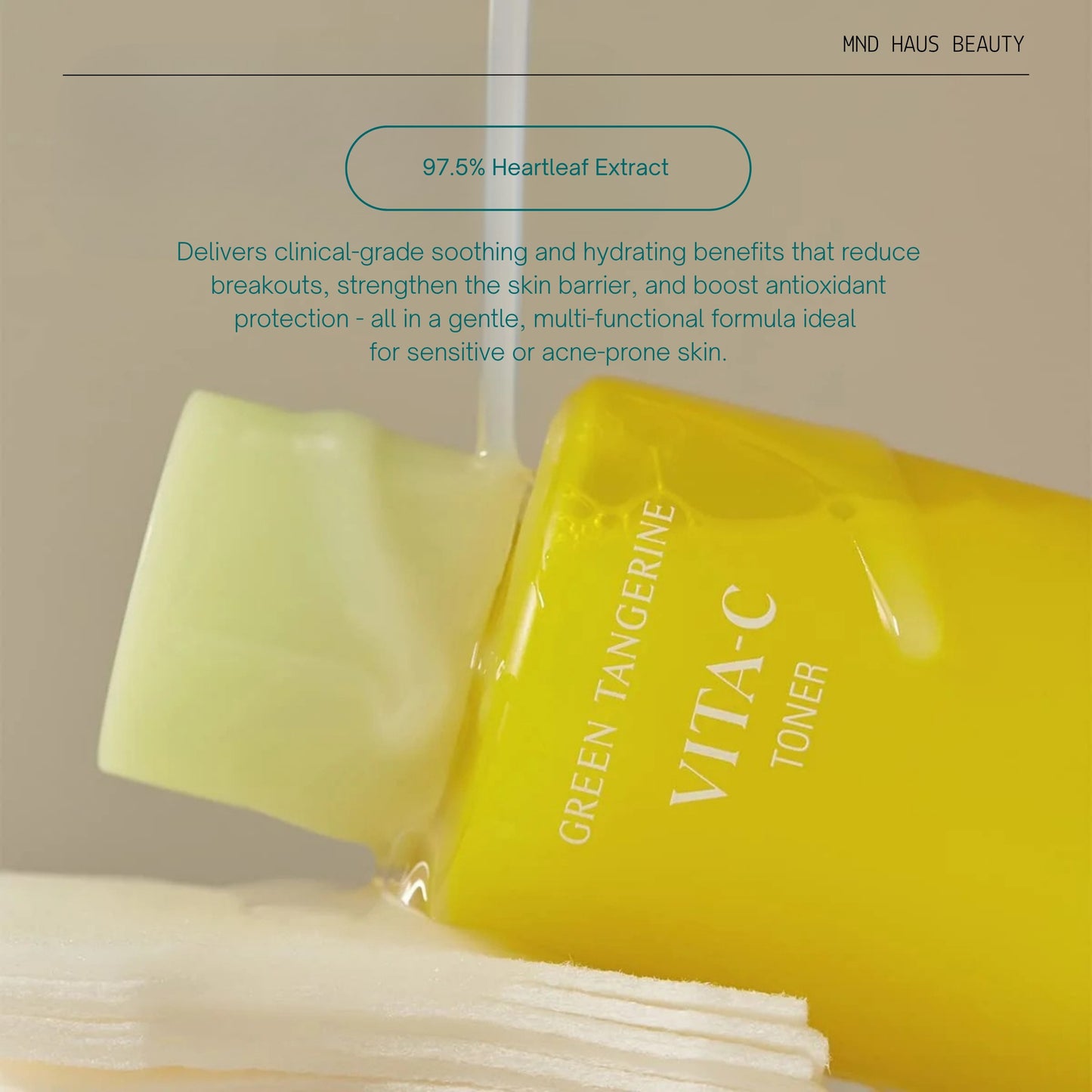 Goodal Green Tangerine Vita C Toner (300ML)